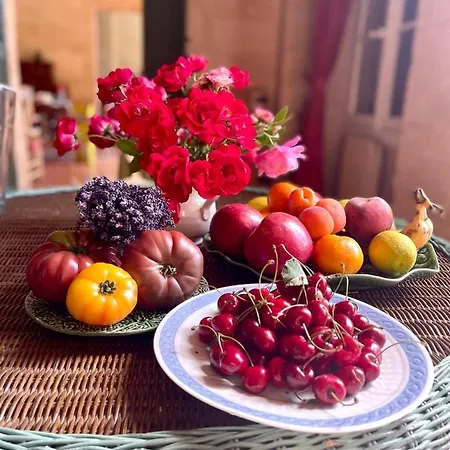 Domaine De Brancas In The Heart Of Provence * Beaucaire (Gard)